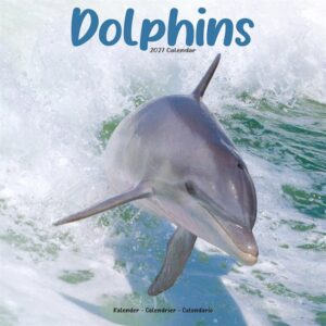 Dolphins Calendar 2027