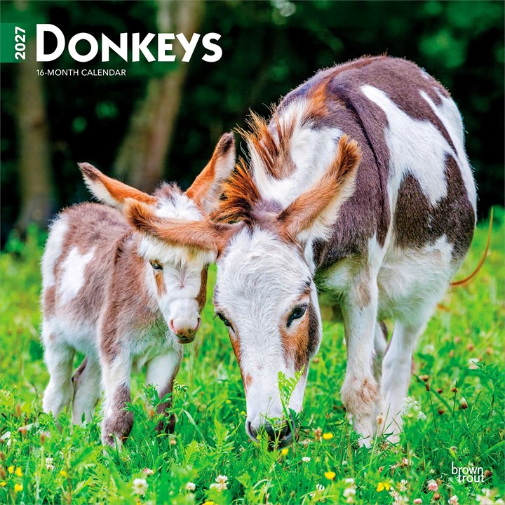 Donkeys Calendar 2027