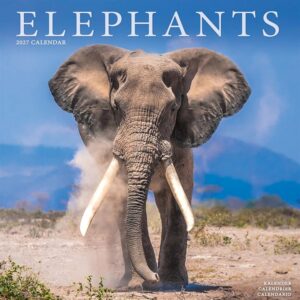 Elephants Calendar 2027