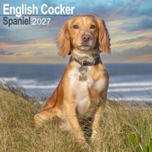 English Cocker Spaniel Calendar 2027