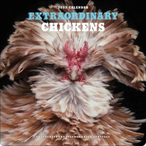 Extraordinary Chickens Calendar 2027