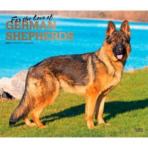 For The Love Of German Shepherds Deluxe Calendar 2027