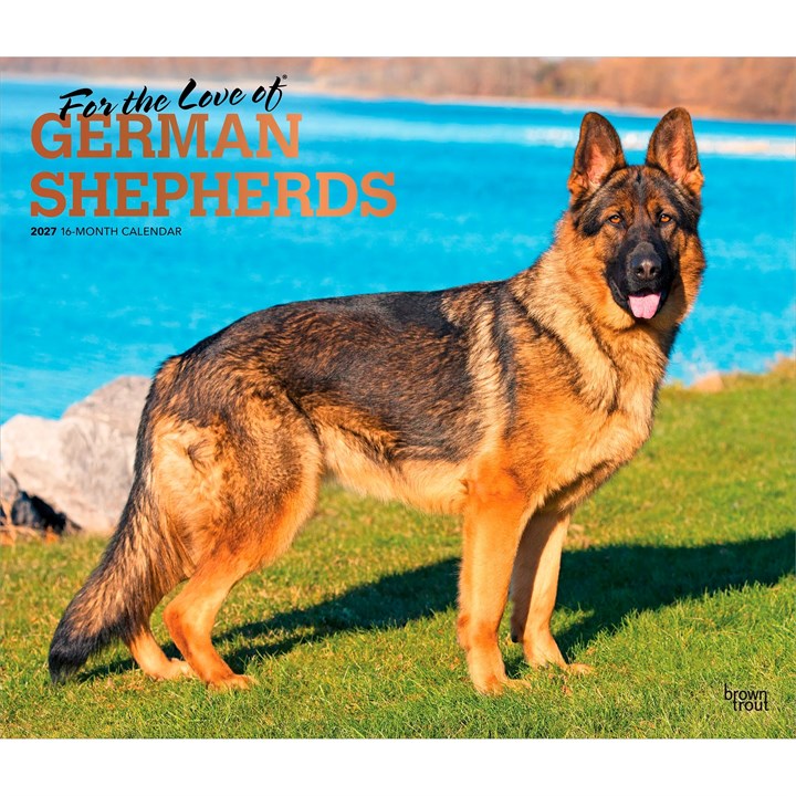 For The Love Of German Shepherds Deluxe Calendar 2027