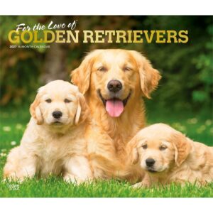 For The Love Of Golden Retrievers Deluxe Calendar 2027