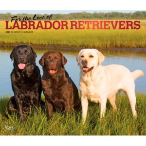 For The Love Of Labrador Retrievers Deluxe Calendar 2027