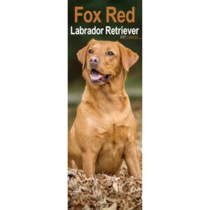 Fox Red Labrador Retriever Slim Calendar 2027