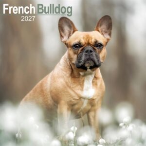 French Bulldog Calendar 2027