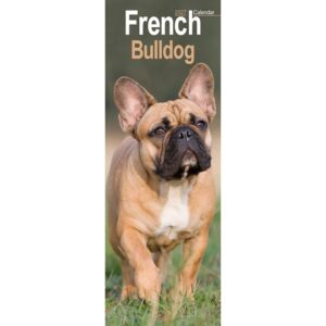French Bulldog Slim Calendar 2027