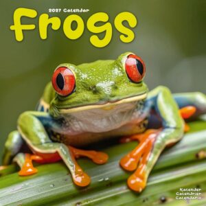 Frogs Calendar 2027