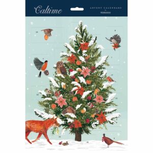 Frosted Pine Tree Portrait Traditional Advent Calendar