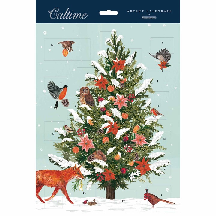 Frosted Pine Tree Portrait Traditional Advent Calendar