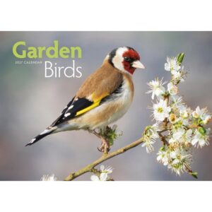 Garden Birds A4 Calendar 2027
