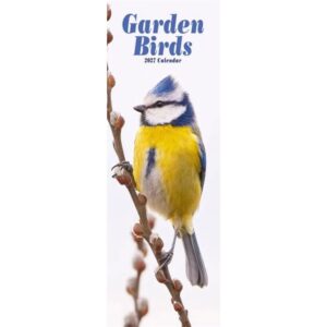 Garden Birds Slim Calendar 2027