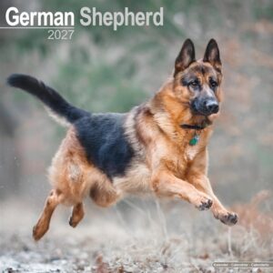 German Shepherd Calendar 2027