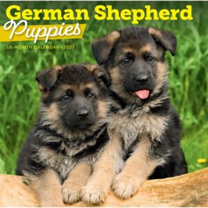 German Shepherd Puppies Calendar 2027