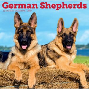 German Shepherds Calendar 2027