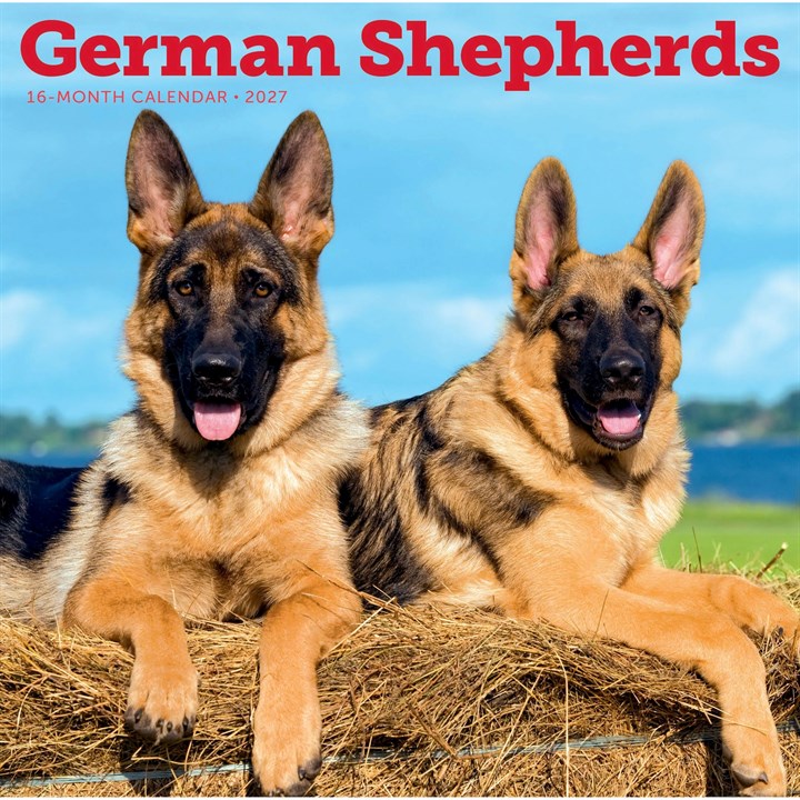 German Shepherds Calendar 2027