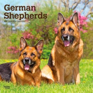 German Shepherds Calendar 2027