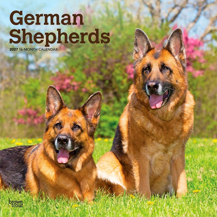 German Shepherds Calendar 2027