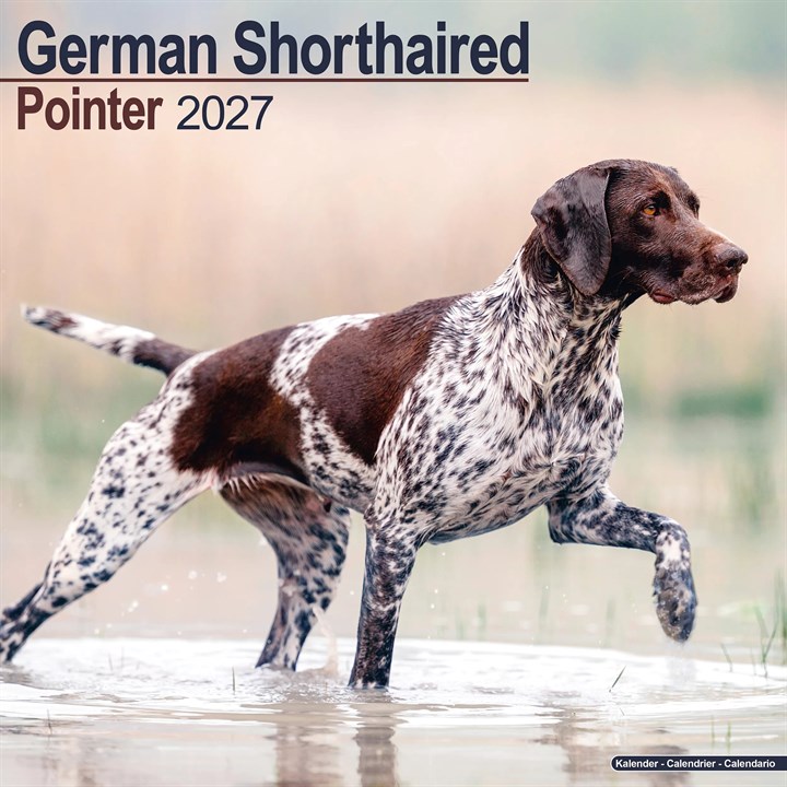 German Shorthaired Pointer Calendar 2027