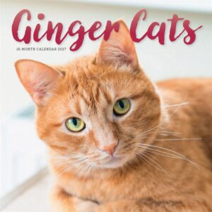 Ginger Cats Calendar 2027