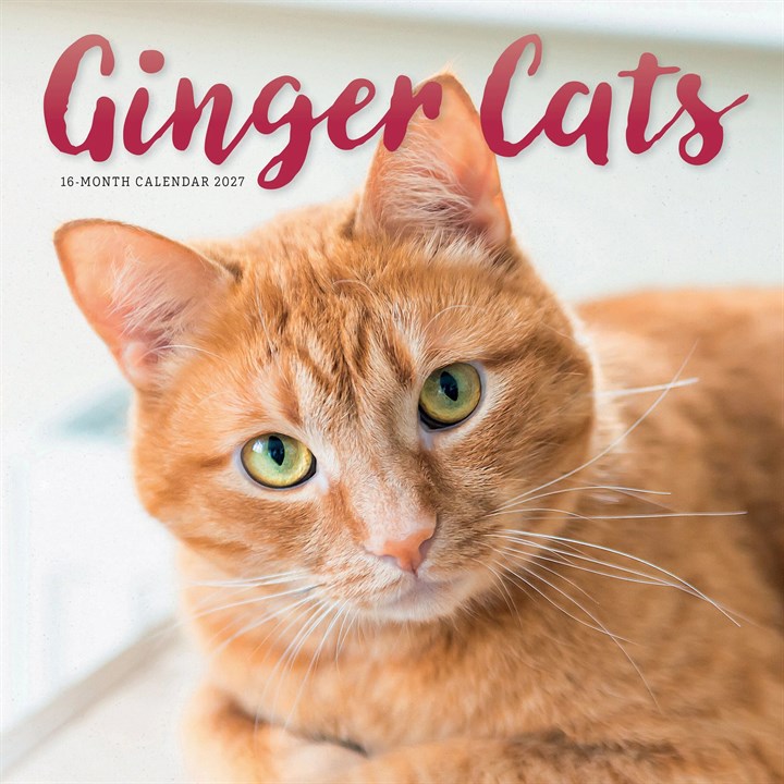 Ginger Cats Calendar 2027