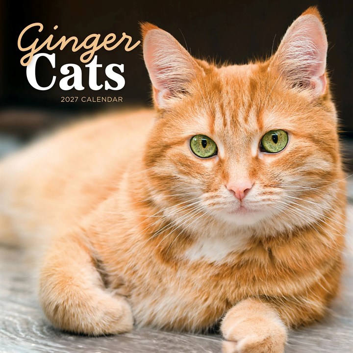 Ginger Cats Calendar 2027