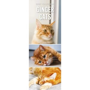 Ginger Cats Slim Calendar 2027