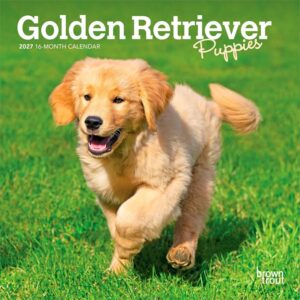 Golden Retriever Puppies Mini Calendar 2027