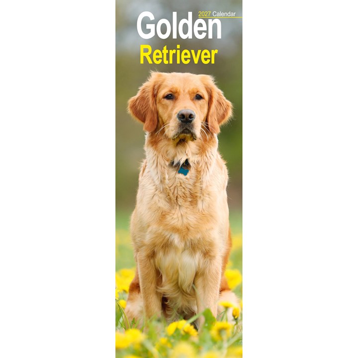 Golden Retriever Slim Calendar 2027