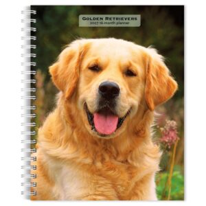Golden Retrievers A5 Diary 2027