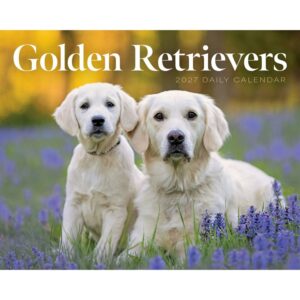 Golden Retrievers Desk Calendar 2027