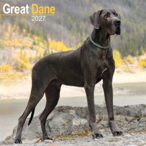 Great Dane Calendar 2027