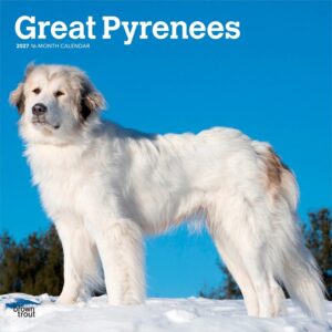 Great Pyrenees Calendar 2027