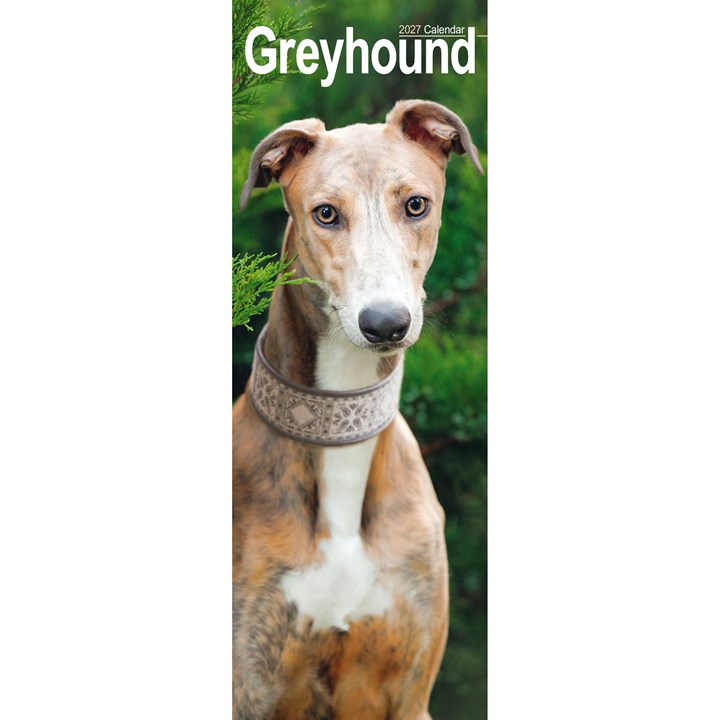 Greyhound Slim Calendar 2027