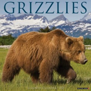 Grizzlies Calendar 2027