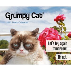 Grumpy Cat Desk Calendar 2027