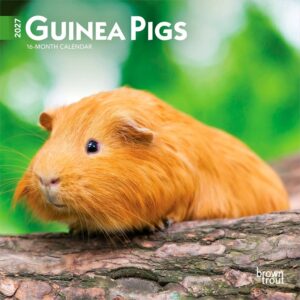 Guinea Pigs Mini Calendar 2027
