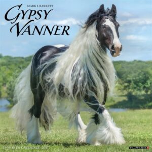 Gypsy Vanner Horse Calendar 2027