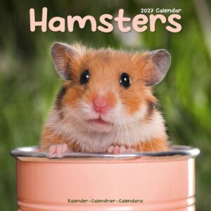 Hamsters Calendar 2027