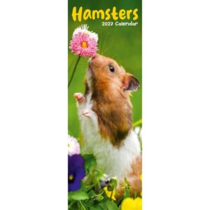 Hamsters Slim Calendar 2027