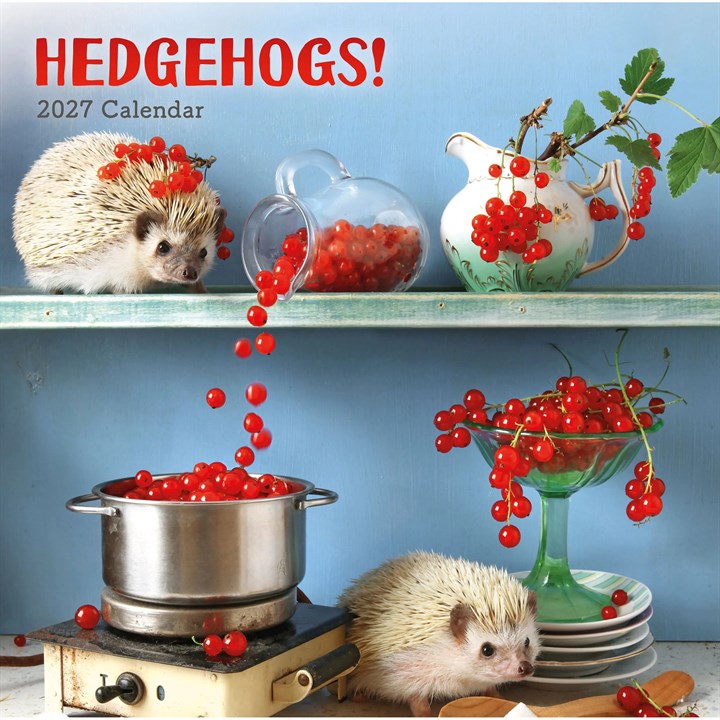 Hedgehogs! Calendar 2027