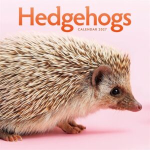 Hedgehogs Calendar 2027
