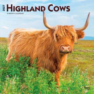 Highland Cows Calendar 2027