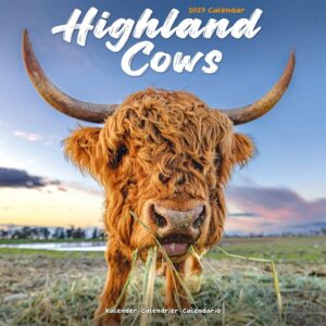 Highland Cows Calendar 2027