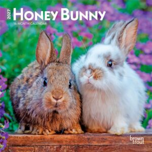 Honey Bunny Mini Calendar 2027