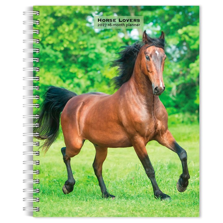 Horse Lovers A5 Diary 2027