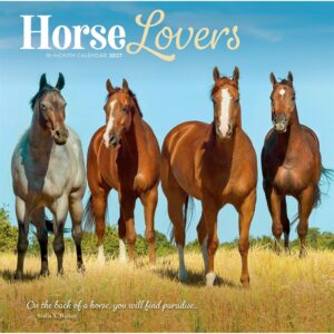 Horse Lovers Calendar 2027