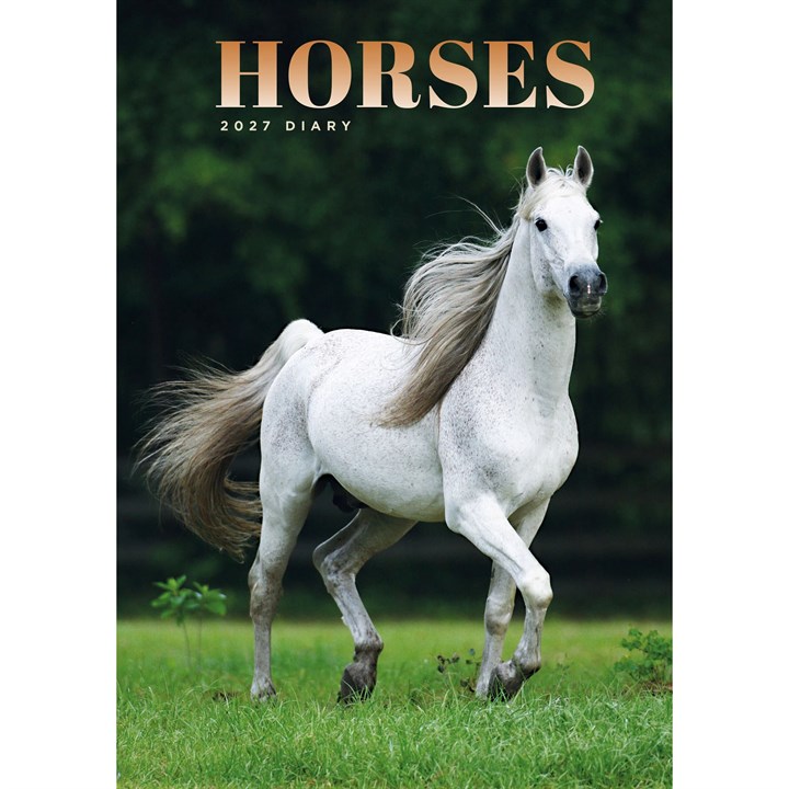 Horses A5 Diary 2027
