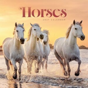 Horses Calendar 2027